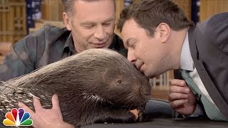 Chris Packham and Jimmy Sniff an African Porcupine [upl. by Trescott520]