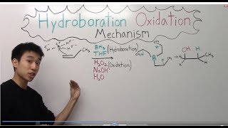 Hydroboration Oxidation Mechanism Made Easy  Part 1   Organic Chemistry [upl. by Yeaton]