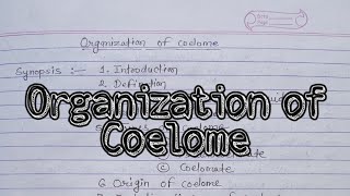 Organization And Definition of Coelome Tyeps Evolution theories msc2021 mscnotes [upl. by Hakan]