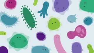 Introducing The Human Gut Microbiome [upl. by Elleyoj]