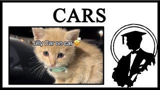 Why Are Cats Still Called Cars [upl. by Abrahams738]