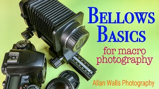 Bellows Basics for Macro Photography [upl. by Nilekcaj109]