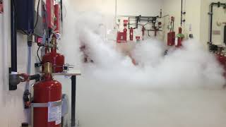 CO2 Fire Suppression System Discharge at Koorsen Training Center [upl. by Suiram]