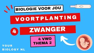 4 vwo  Voortplanting  4  Zwanger [upl. by Munafo]