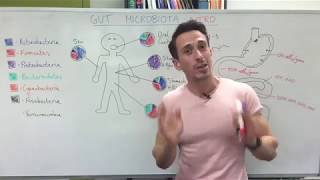 Gut microbiota gut bacteria  Introduction [upl. by Nottage]