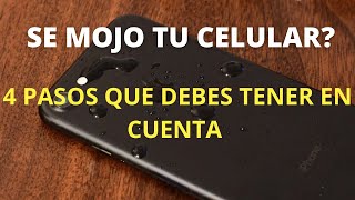 QUE HACER CUANDO SE MOJA TU CELULAR Escucha estos consejos [upl. by Sigfried]