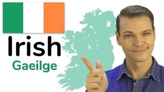 The Irish Language Gaelic [upl. by Ynohtna]