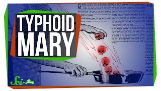 What Really Happened with Typhoid Mary [upl. by Mortimer]