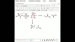 Amide Hydrolysis in Base [upl. by Tobye]