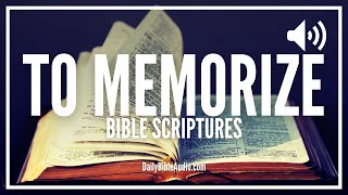 Bible Verses To Memorize  Powerful Scriptures Every Christian Should Memorize [upl. by Winnie]