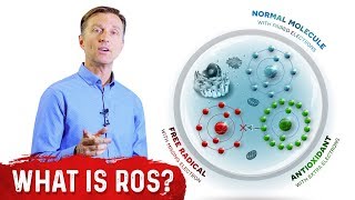 What Are Reactive Oxygen Species ROS  Dr Berg [upl. by Adnorhs]