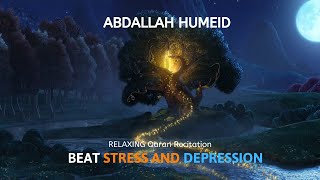 Abdallah Humeid  Emotional Quran Recitations [upl. by Lasyrc]