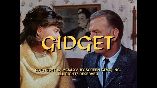 Gidget  Opening intro 1965 HD [upl. by Sykes]