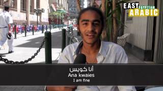 Easy Egyptian Arabic  Basic Phrases 1 [upl. by Neemsay]