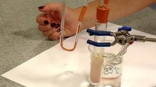 Rate of Respiration in Yeast [upl. by Ennaeerb]