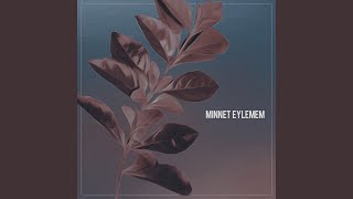 Minnet Eylemem [upl. by Akinorev]