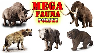 Prehistoryczne MEGA Zwierzęta Polski [upl. by Jacinda]