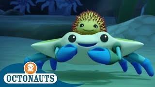 Octonauts  A Spikey Friendship  Full Episodes  Cartoons for Kids [upl. by Gnilrits]