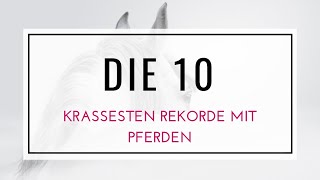 DIE 10 krassesten Rekorde von Pferden [upl. by Howund]