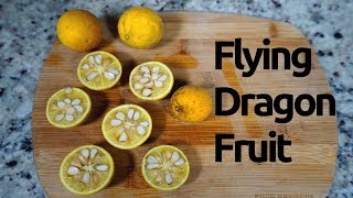 Wild Edibles Flying Dragon Fruit Trifoliate Orange [upl. by Gardel]