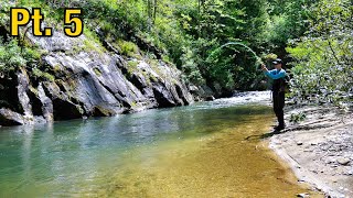 This Creek Was LOADED 100 Fish in a DAY  North Georgia Trout Pt 5 [upl. by Ahgem595]