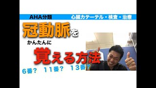 感動 冠動脈の解剖が分かる AHAの冠動脈の分類の暗記 心臓カテーテルを楽しく行うための勉強法 心臓専門医 米山喜平Yoneyama Kihei [upl. by Glynis353]