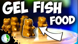 DIY GEL FISH FOOD  HOMEMADE REPASHY GUMMY BEAR FISH FOOD [upl. by Catharine910]