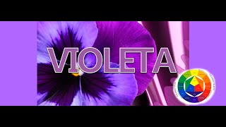 Como saco el Color Morado o Violeta [upl. by Aimehs896]