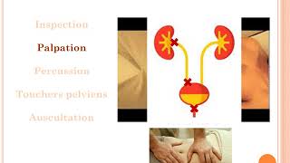 Examen clinique en néphrologie partie 02 [upl. by Elizabet]