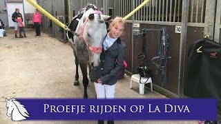 Tessa haar eerste FNRS dressuur proefje F1B op La Diva  Hart voor Paarden [upl. by Brechtel864]