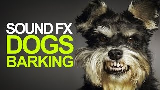 DOGS BARKING  Sound Effects High Quality [upl. by Macur]