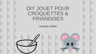 DIY Jeu pour chat croquettes amp friandises [upl. by Wellesley]