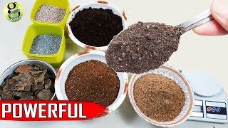 Best DIY Fertilizer Mix Recipe Universal Allpurpose Mixed Fertilizer Powder [upl. by Vadnee494]