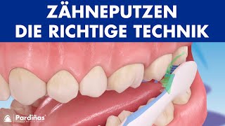 Zähneputzen  Die richtige Technik © [upl. by Ahsimek]