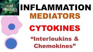 INFLAMMATION Part 6 Chemical Mediators CYTOKINES Interleukins amp Chemokines [upl. by Melone339]