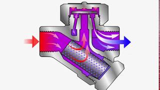 Steam Trap  Thermodynamic  How it Works [upl. by Merrile]