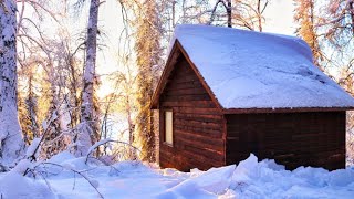 Off Grid Cabin in the Alaskan Wilderness [upl. by Naiva]