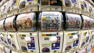 Gachapon Capsule Toy Adventure in Akihabara [upl. by Aneroc591]