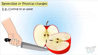 Physical and Chemical Changes Chemistry For Kids  TutWay [upl. by Werdn]