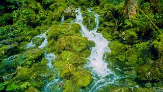 Mountain Forest Small Waterfall Screensaver No Sound — 10 Hours 4K UHD [upl. by Bradstreet352]