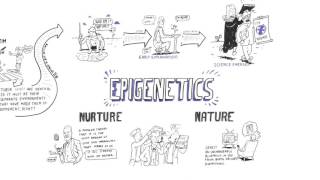 Epigenetics Nature vs nurture [upl. by Clifton]