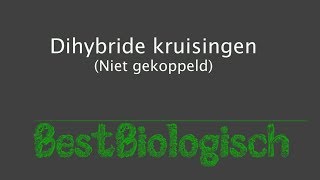 Dihybride kruisingen niet gekoppeld [upl. by Roman941]