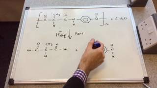 Hydrolysis of Polyamides [upl. by Garibull]