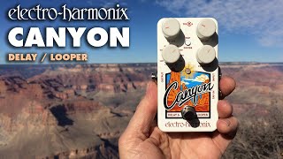 ElectroHarmonix Canyon Delay  Looper Pedal Demo by Bill Ruppert [upl. by Aivatra270]