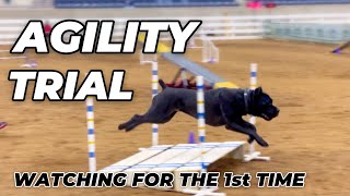 How To Move Your Feet In Dog Agility [upl. by Eizle473]