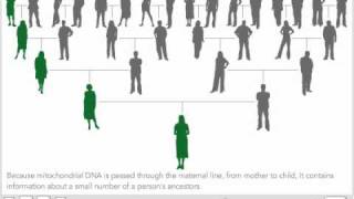 Mitochondrial DNA 3D [upl. by Jaquiss]