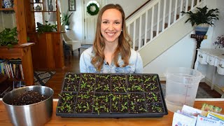 How to start seeds indoors with step by step instructions and demonstrations Northlawn Flower Farm [upl. by Eirojram]