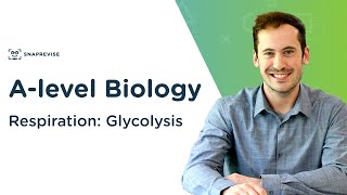 Respiration Glycolysis  Alevel Biology  OCR AQA Edexcel [upl. by Coates]