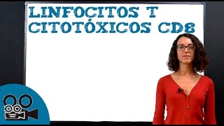 Linfocitos T citotóxicos cd8 [upl. by Nwavahs39]