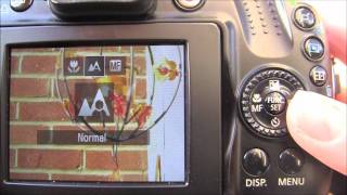 Canon Powershot SX40 HS Tutorial Step Seven  Manual Focus [upl. by Janiuszck]